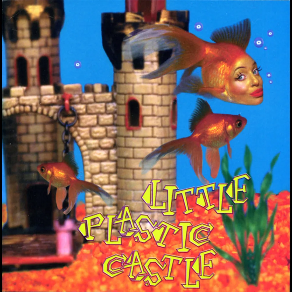 Ani DiFranco - Little Plastic Castle