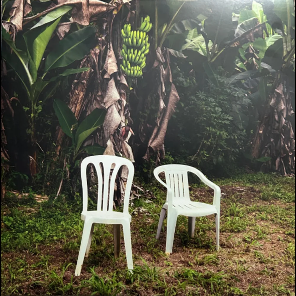 Bad Bunny - Debí Tirar Más Fotos